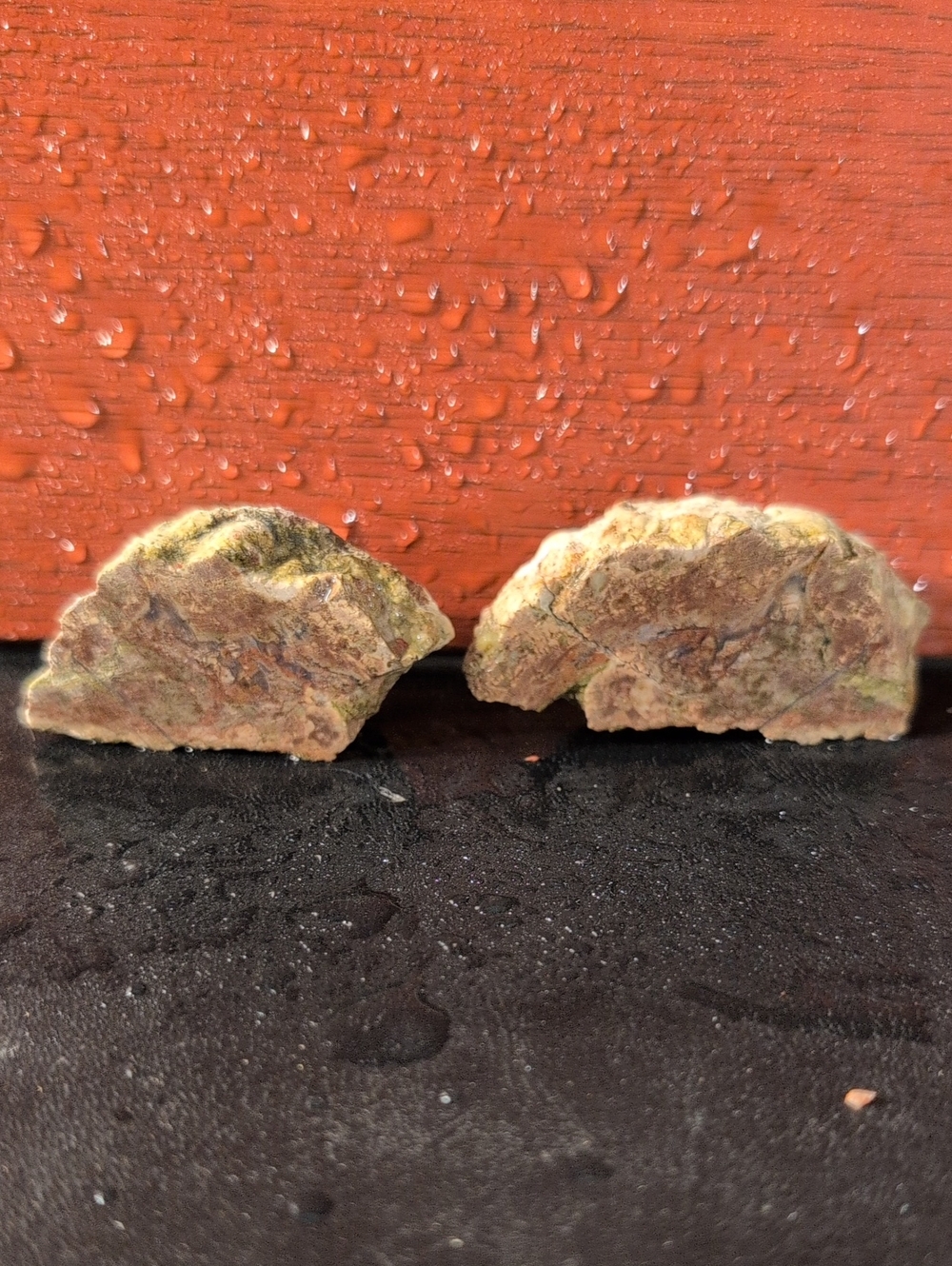 Agate #50